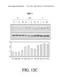 ANTIGEN BINDING PROTEINS TO PROPROTEIN CONVERTASE SUBTILISIN KEXIN TYPE 9     (PCSK9) diagram and image