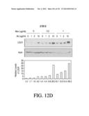 ANTIGEN BINDING PROTEINS TO PROPROTEIN CONVERTASE SUBTILISIN KEXIN TYPE 9     (PCSK9) diagram and image