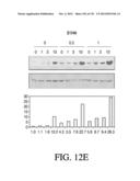 ANTIGEN BINDING PROTEINS TO PROPROTEIN CONVERTASE SUBTILISIN KEXIN TYPE 9     (PCSK9) diagram and image