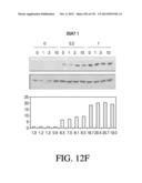 ANTIGEN BINDING PROTEINS TO PROPROTEIN CONVERTASE SUBTILISIN KEXIN TYPE 9     (PCSK9) diagram and image