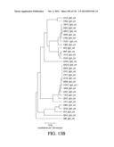 ANTIGEN BINDING PROTEINS TO PROPROTEIN CONVERTASE SUBTILISIN KEXIN TYPE 9     (PCSK9) diagram and image