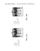 ANTIGEN BINDING PROTEINS TO PROPROTEIN CONVERTASE SUBTILISIN KEXIN TYPE 9     (PCSK9) diagram and image