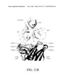 ANTIGEN BINDING PROTEINS TO PROPROTEIN CONVERTASE SUBTILISIN KEXIN TYPE 9     (PCSK9) diagram and image