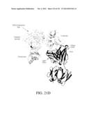 ANTIGEN BINDING PROTEINS TO PROPROTEIN CONVERTASE SUBTILISIN KEXIN TYPE 9     (PCSK9) diagram and image