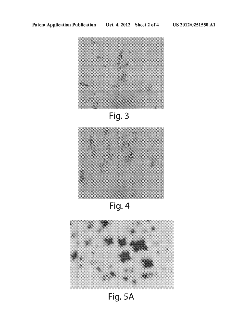 Crystalline anti-hTNFalpha antibodies - diagram, schematic, and image 03