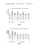 ANTIBODIES AGAINST T CELL IMMUNOGLOBULIN DOMAIN AND MUCIN DOMAIN 1 (TIM-1)     ANTIGEN AND USES THEREOF diagram and image