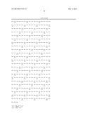 ANTIBODIES AGAINST T CELL IMMUNOGLOBULIN DOMAIN AND MUCIN DOMAIN 1 (TIM-1)     ANTIGEN AND USES THEREOF diagram and image