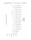 ANTIBODIES AGAINST T CELL IMMUNOGLOBULIN DOMAIN AND MUCIN DOMAIN 1 (TIM-1)     ANTIGEN AND USES THEREOF diagram and image