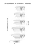 ANTIBODIES AGAINST T CELL IMMUNOGLOBULIN DOMAIN AND MUCIN DOMAIN 1 (TIM-1)     ANTIGEN AND USES THEREOF diagram and image