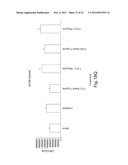 ANTIBODIES AGAINST T CELL IMMUNOGLOBULIN DOMAIN AND MUCIN DOMAIN 1 (TIM-1)     ANTIGEN AND USES THEREOF diagram and image