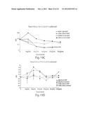 ANTIBODIES AGAINST T CELL IMMUNOGLOBULIN DOMAIN AND MUCIN DOMAIN 1 (TIM-1)     ANTIGEN AND USES THEREOF diagram and image