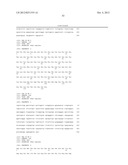 ANTIBODIES AGAINST T CELL IMMUNOGLOBULIN DOMAIN AND MUCIN DOMAIN 1 (TIM-1)     ANTIGEN AND USES THEREOF diagram and image