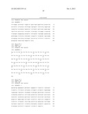 ANTIBODIES AGAINST T CELL IMMUNOGLOBULIN DOMAIN AND MUCIN DOMAIN 1 (TIM-1)     ANTIGEN AND USES THEREOF diagram and image