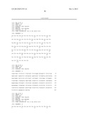 ANTIBODIES AGAINST T CELL IMMUNOGLOBULIN DOMAIN AND MUCIN DOMAIN 1 (TIM-1)     ANTIGEN AND USES THEREOF diagram and image