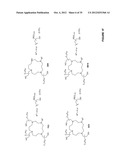 CONJUGATED LIPOMERS AND USES THEREOF diagram and image