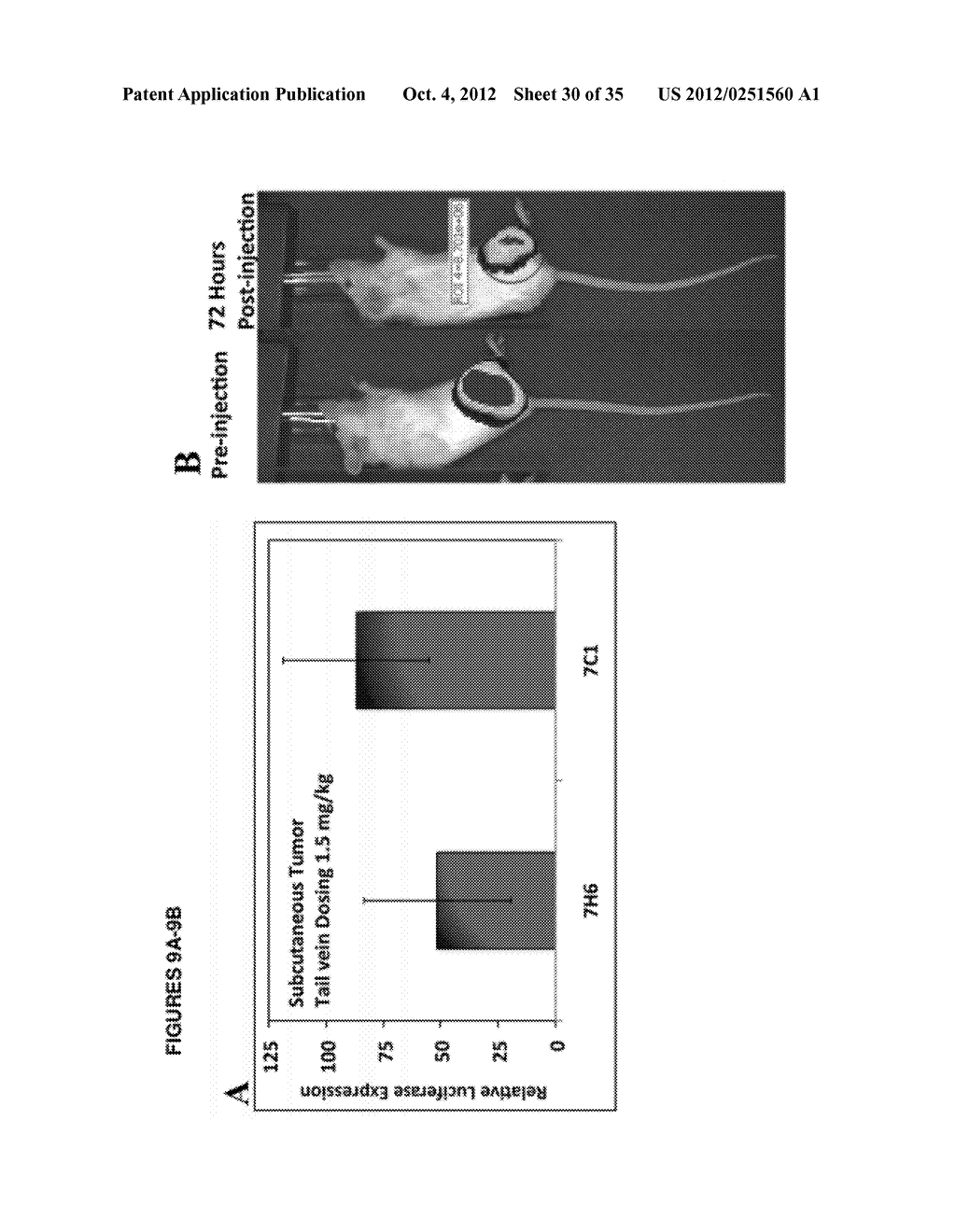 CONJUGATED LIPOMERS AND USES THEREOF - diagram, schematic, and image 31