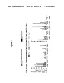 COMPOSITION FOR TREATING HBV INFECTION diagram and image