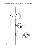 Endopeptidase and Neurotoxin Combination Treatment of Multiple Medical     Conditions diagram and image