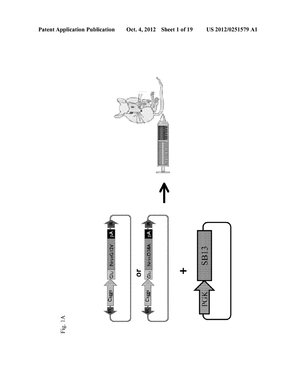 COMPOSITIONS FOR GENERATING AN ANTIGEN SPECIFIC IMMUNE RESPONSE - diagram, schematic, and image 02