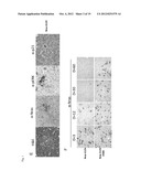 COMPOSITIONS FOR GENERATING AN ANTIGEN SPECIFIC IMMUNE RESPONSE diagram and image