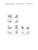COMPOSITIONS FOR GENERATING AN ANTIGEN SPECIFIC IMMUNE RESPONSE diagram and image