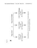 COMPOSITIONS FOR GENERATING AN ANTIGEN SPECIFIC IMMUNE RESPONSE diagram and image