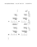 COMPOSITIONS FOR GENERATING AN ANTIGEN SPECIFIC IMMUNE RESPONSE diagram and image