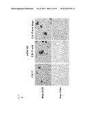 COMPOSITIONS FOR GENERATING AN ANTIGEN SPECIFIC IMMUNE RESPONSE diagram and image