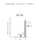 METHODS OF TREATING OR PREVENTING PERITONITIS WITH OXIDATIVE REDUCTIVE     POTENTIAL WATER SOLUTION diagram and image