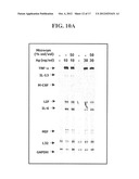 METHODS OF TREATING OR PREVENTING PERITONITIS WITH OXIDATIVE REDUCTIVE     POTENTIAL WATER SOLUTION diagram and image