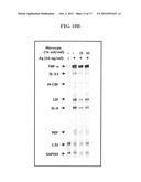 METHODS OF TREATING OR PREVENTING PERITONITIS WITH OXIDATIVE REDUCTIVE     POTENTIAL WATER SOLUTION diagram and image