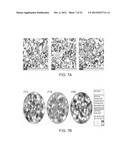 FINE GRAINED, NON BANDED, REFRACTORY METAL SPUTTERING TARGETS WITH A     UNIFORMLY RANDOM CRYSTALLOGRAPHIC ORIENTATION, METHOD FOR MAKING SUCH     FILM, AND THIN FILM BASED DEVICES AND PRODUCTS MADE THEREFROM diagram and image