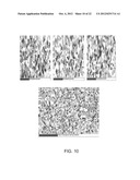 FINE GRAINED, NON BANDED, REFRACTORY METAL SPUTTERING TARGETS WITH A     UNIFORMLY RANDOM CRYSTALLOGRAPHIC ORIENTATION, METHOD FOR MAKING SUCH     FILM, AND THIN FILM BASED DEVICES AND PRODUCTS MADE THEREFROM diagram and image