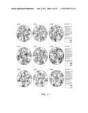 FINE GRAINED, NON BANDED, REFRACTORY METAL SPUTTERING TARGETS WITH A     UNIFORMLY RANDOM CRYSTALLOGRAPHIC ORIENTATION, METHOD FOR MAKING SUCH     FILM, AND THIN FILM BASED DEVICES AND PRODUCTS MADE THEREFROM diagram and image