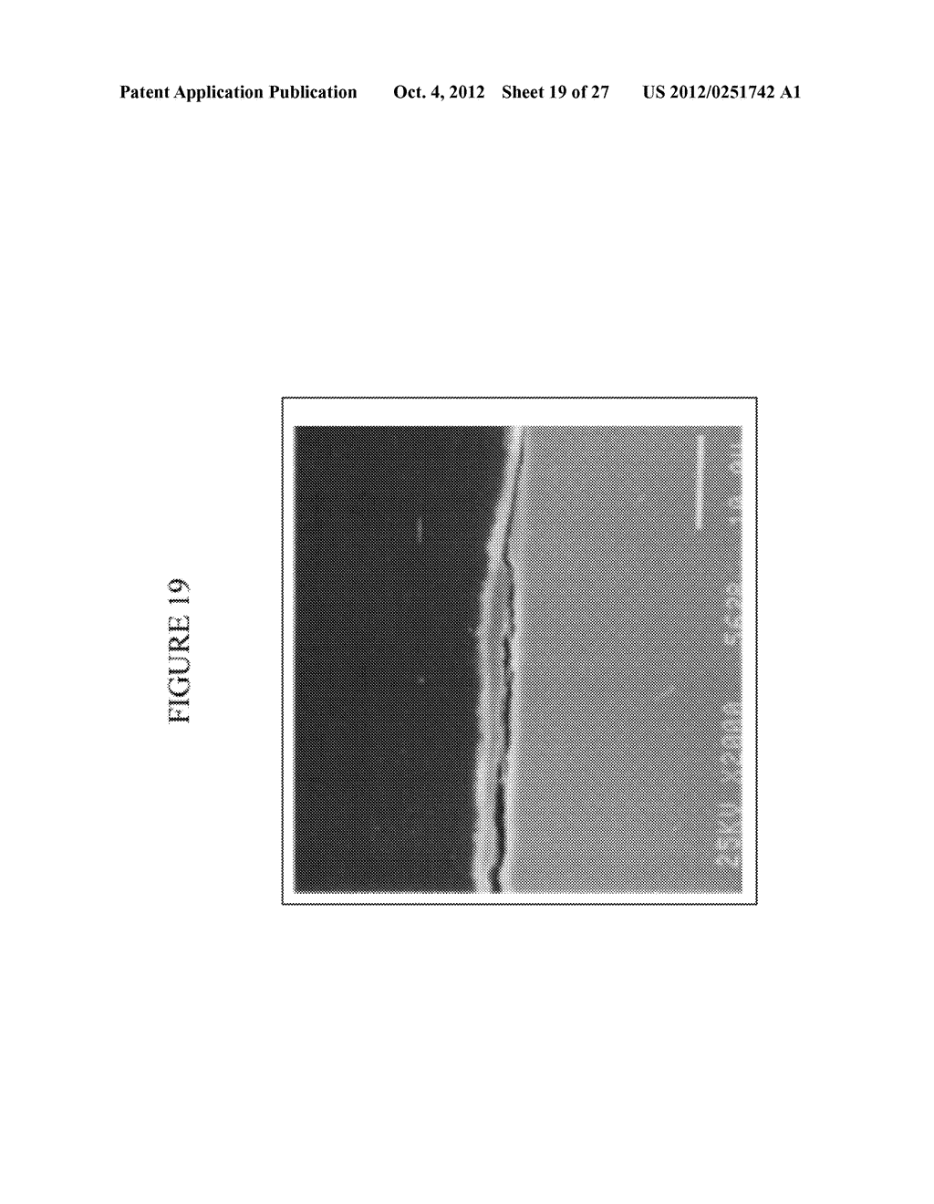 NANOPARTICLE SURFACE TREATMENT - diagram, schematic, and image 20