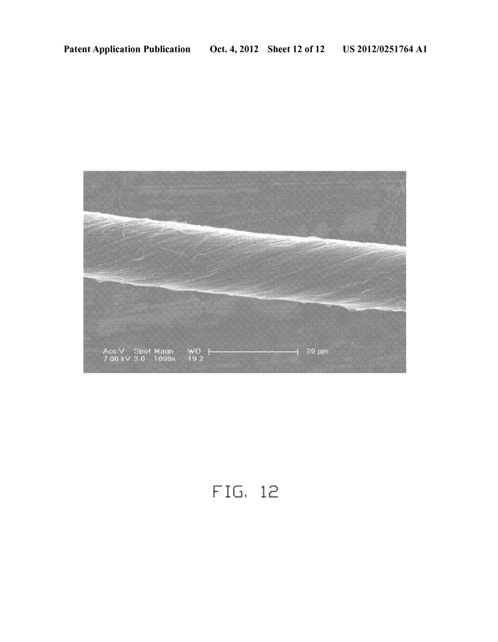 GRAPHENE/CARBON NANOTUBE COMPOSITE STRUCTURE - diagram, schematic, and image 13