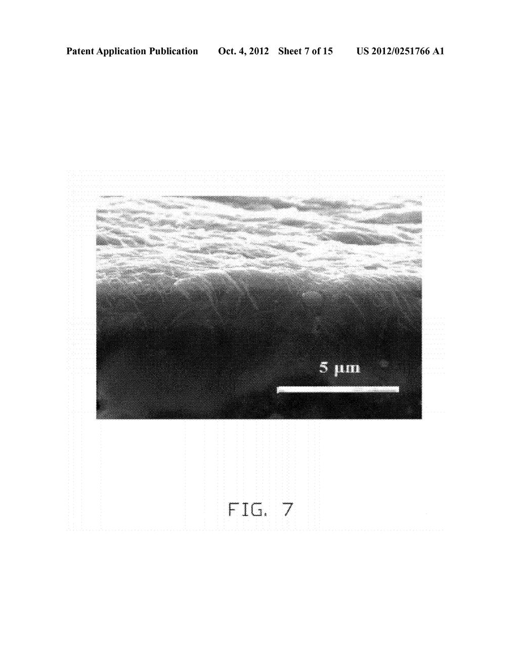 CARBON NANOTUBE COMPOSITE AND METHOD FOR FORMING SAME - diagram, schematic, and image 08