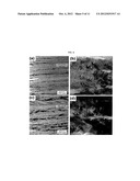 SOLID OXIDE FUEL CELL COMPRISING NANOSTRUCTURE COMPOSITE CATHODE AND     FABRICATION METHOD THEREOF diagram and image