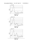 Probe for Detection of Polymorphism in C-Kit Gene and Use Thereof diagram and image