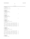 Probe for Detection of Polymorphism in C-Kit Gene and Use Thereof diagram and image