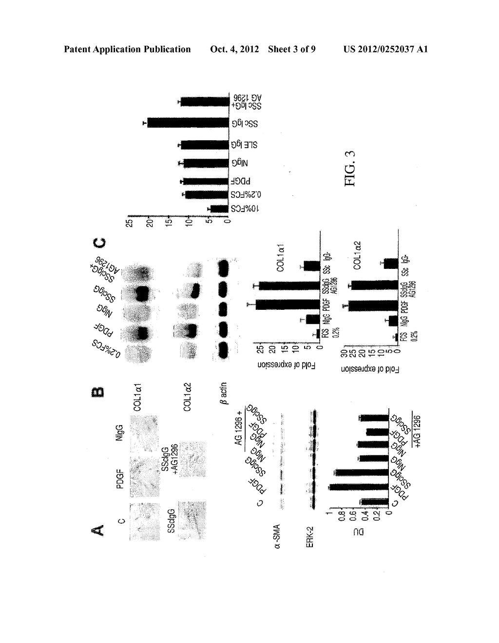 STIMULATORY AUTO-ANTIBODIES TO THE PDGF RECEPTOR AS PATHOLOGY MARKER AND     THERAPEUTIC TARGET - diagram, schematic, and image 04