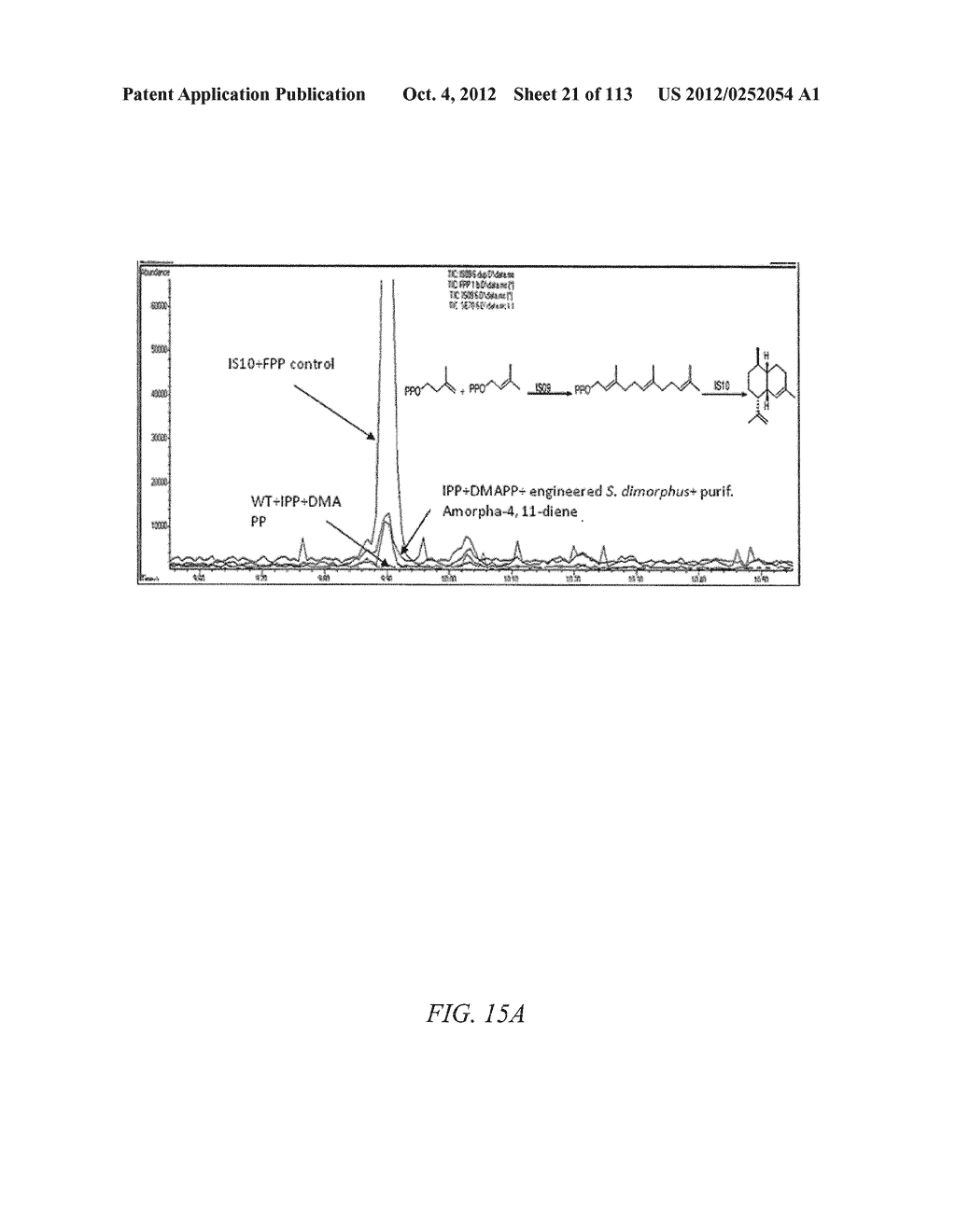 SYSTEM FOR TRANSFORMATION OF THE CHLOROPLAST GENOME OF SCENEDESMUS SP. AND     DUNALIELLA SP. - diagram, schematic, and image 22