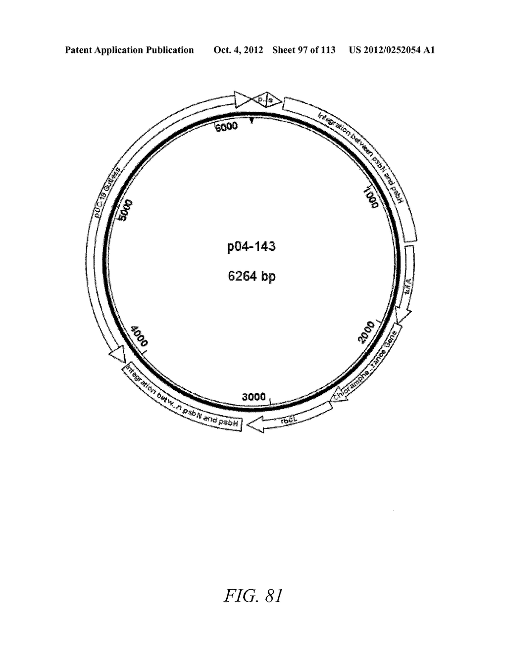 SYSTEM FOR TRANSFORMATION OF THE CHLOROPLAST GENOME OF SCENEDESMUS SP. AND     DUNALIELLA SP. - diagram, schematic, and image 98