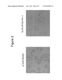 SUBSTITUTED ANTHRAQUINONE DYES FOR CELLULAR STAINS AND ENZYME DETECTION diagram and image