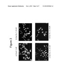 SUBSTITUTED ANTHRAQUINONE DYES FOR CELLULAR STAINS AND ENZYME DETECTION diagram and image