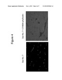 SUBSTITUTED ANTHRAQUINONE DYES FOR CELLULAR STAINS AND ENZYME DETECTION diagram and image