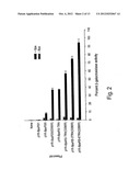 Systems for the Expression of Orthogonal Translation Components in     Eubacterial Host Cells diagram and image