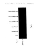 Systems for the Expression of Orthogonal Translation Components in     Eubacterial Host Cells diagram and image