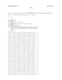 T7 RNA POLYMERASE VARIANTS WITH CYSTEINE-SERINE SUBSTITUTIONS diagram and image