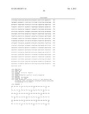 T7 RNA POLYMERASE VARIANTS WITH CYSTEINE-SERINE SUBSTITUTIONS diagram and image